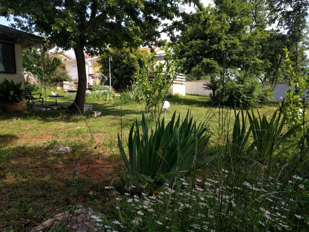 Apartment Helena Kanfanar Zewnętrze zdjęcie